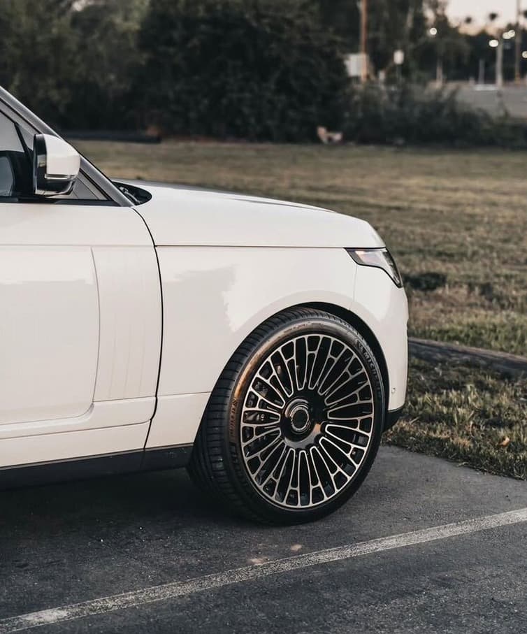 Range Rover R24, фото 6