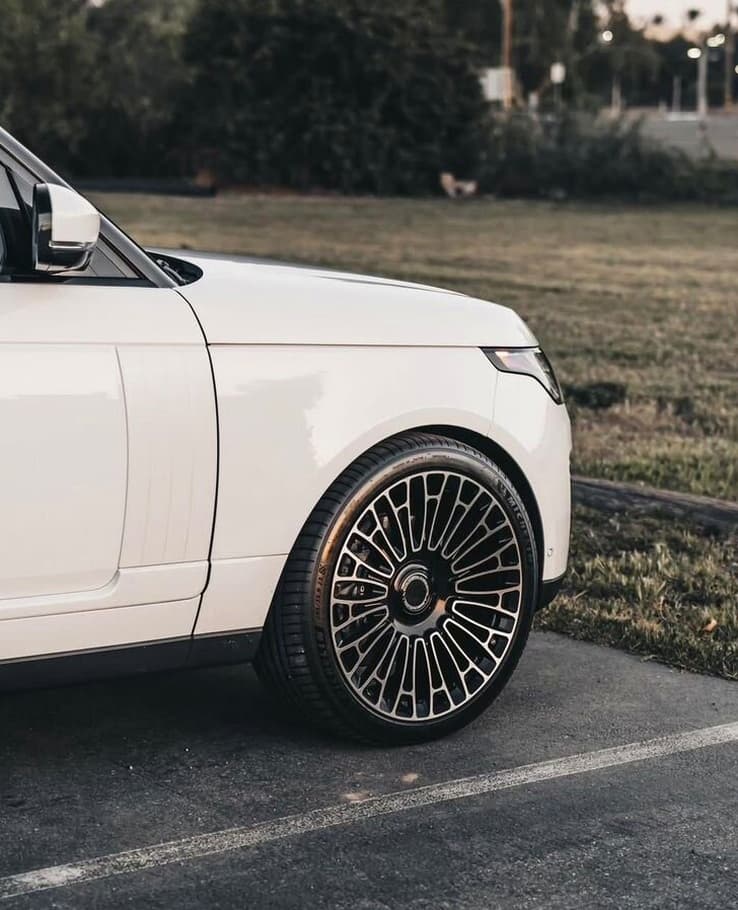 Range Rover R24, фото 8